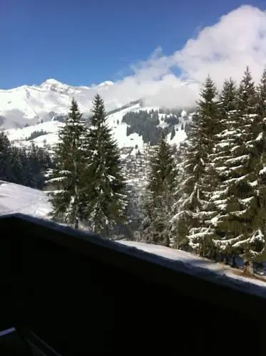 Chalet la Puce