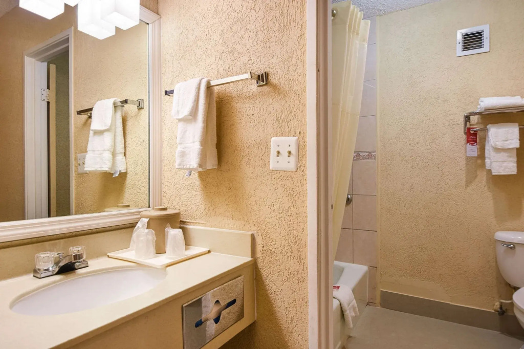 Econo Lodge Tampa near Busch Gardens