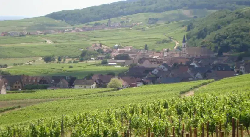 Anselm