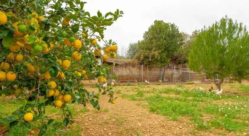 Villa Es Pla