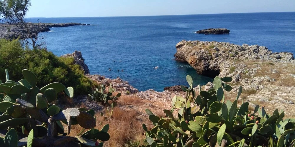 Studio in Cenate di Nardo, With Furnished Terrace