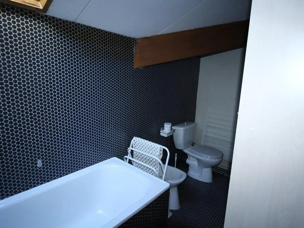 Appartement Bagnères-de-Luchon, 1 pièce, 4 personnes - FR-1-313-124