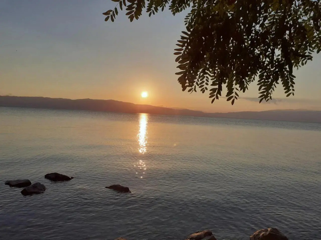 Guesthouse Zimovski