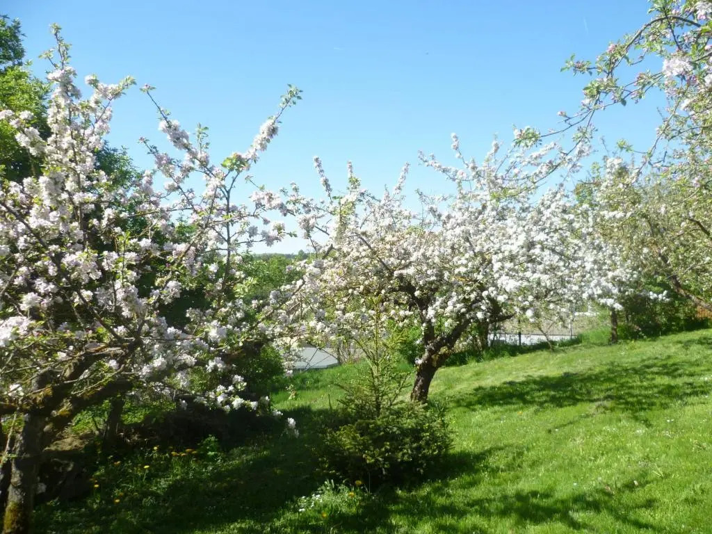 Harzurlaub Heyder