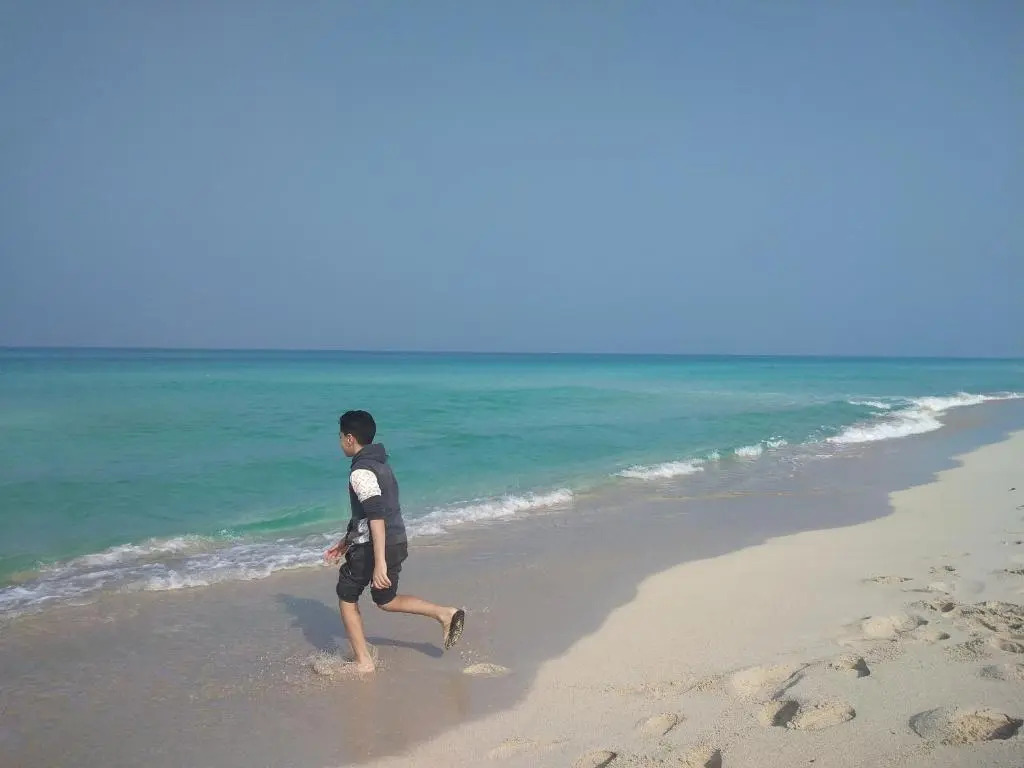 شقه فندقيه بزهراء العجمي الهانوفيل