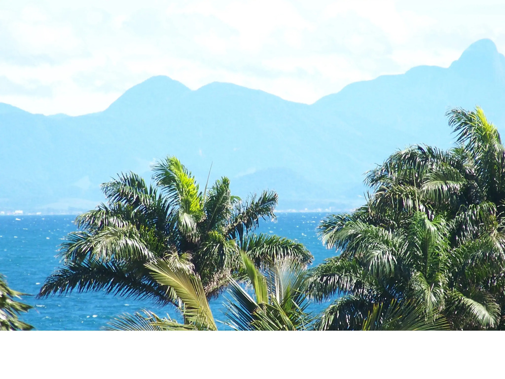 Hibiscus Beach