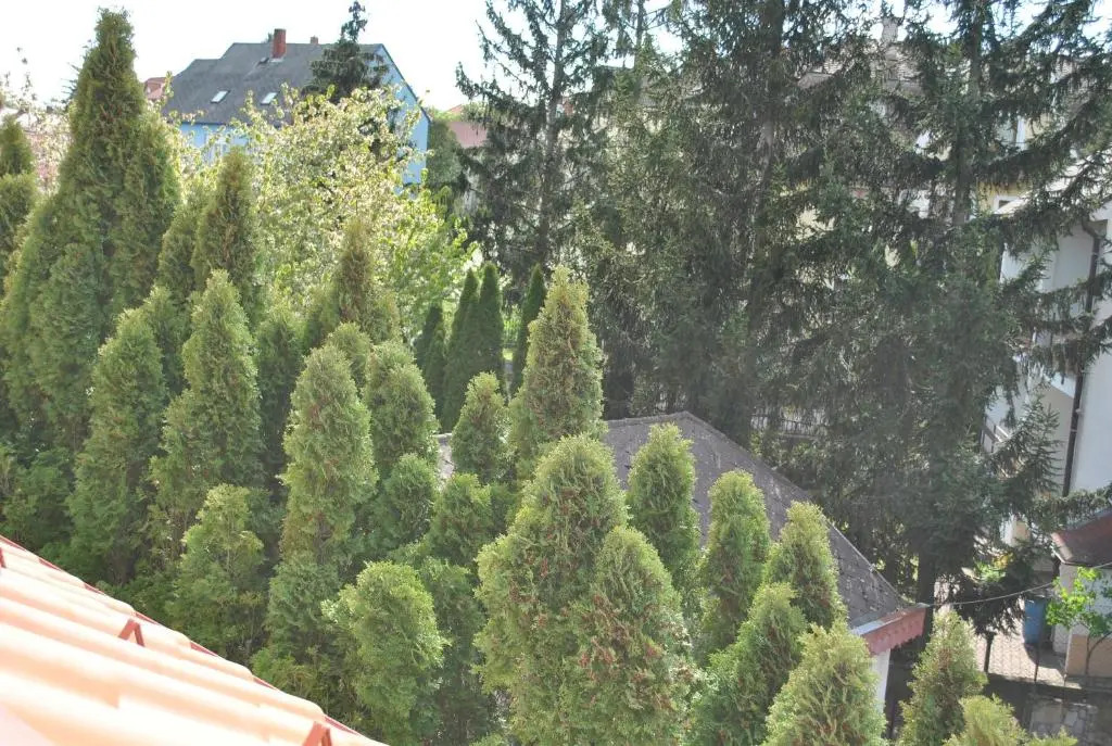 I love Heviz Apartments