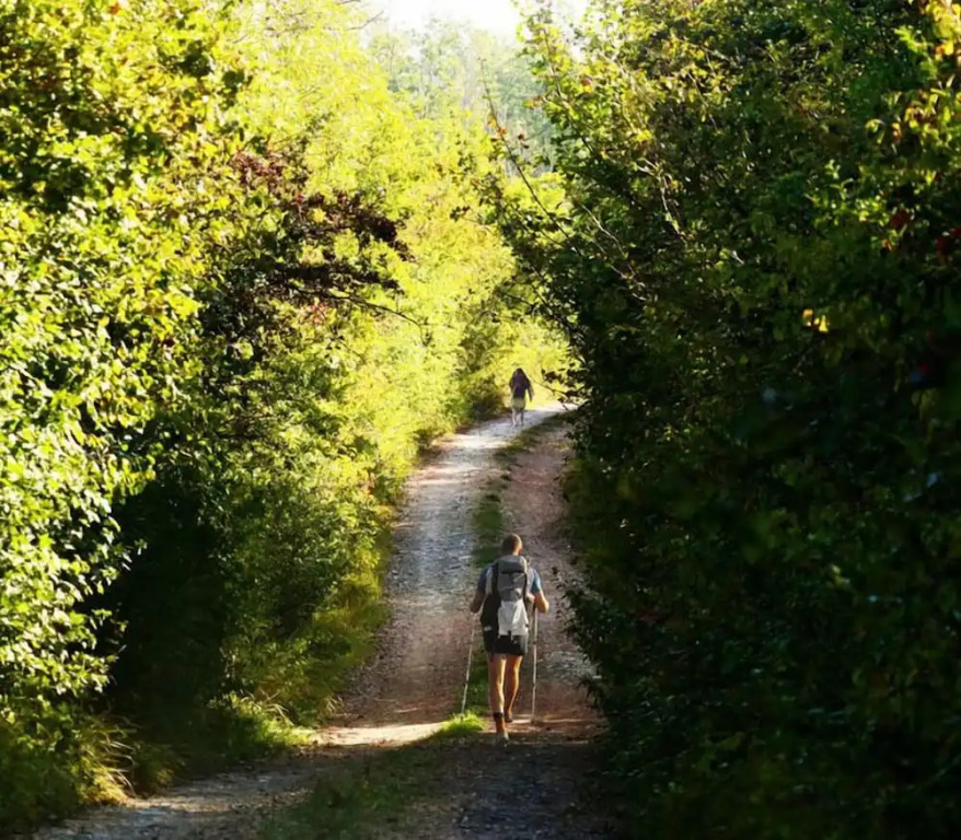 Fattoria L Aquilone