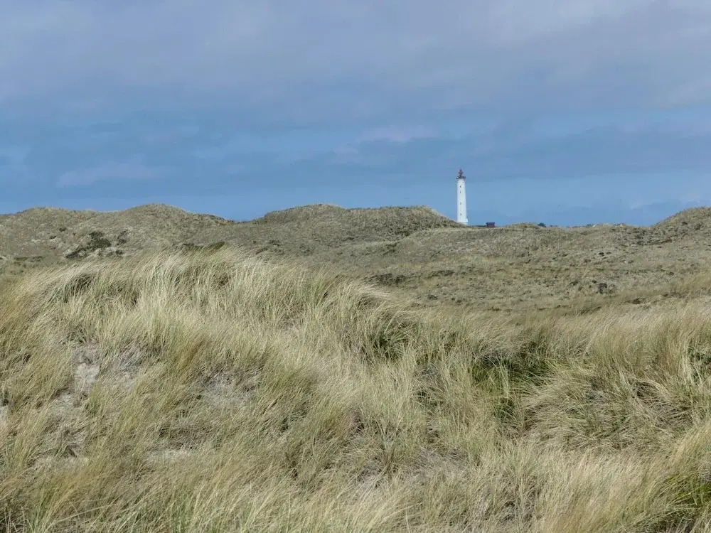 Cozy Holiday Home in Ringkøbing near Sea Beach