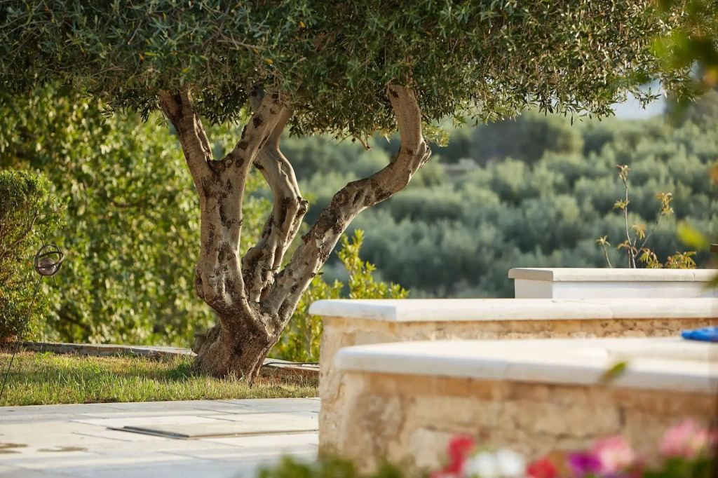 Villa Malvazia