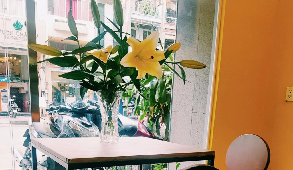 Suite Backpackers Inn
