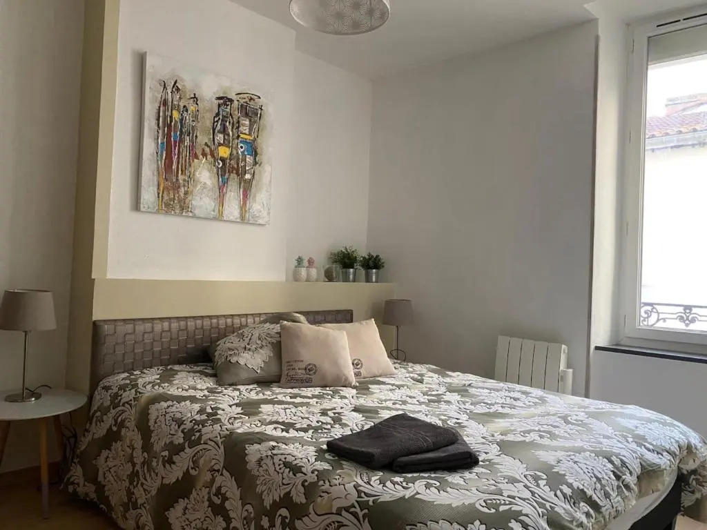 Appartement charmant T3, centre ville de millau