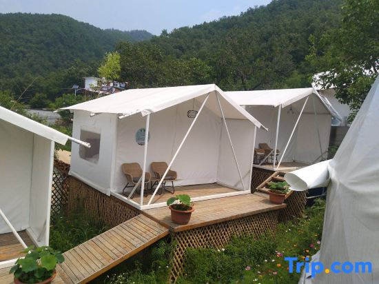Song Wild Luxury Tent Homestay