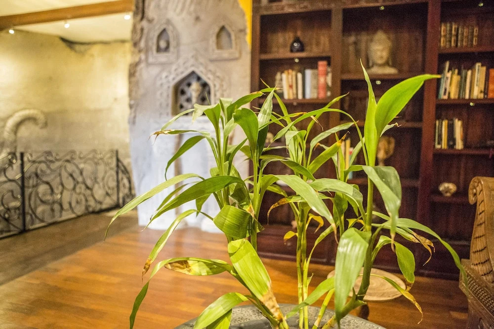 Avalon Ubud Villas