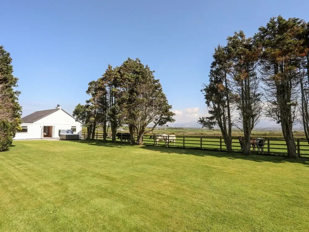 Mynydd Mwyn