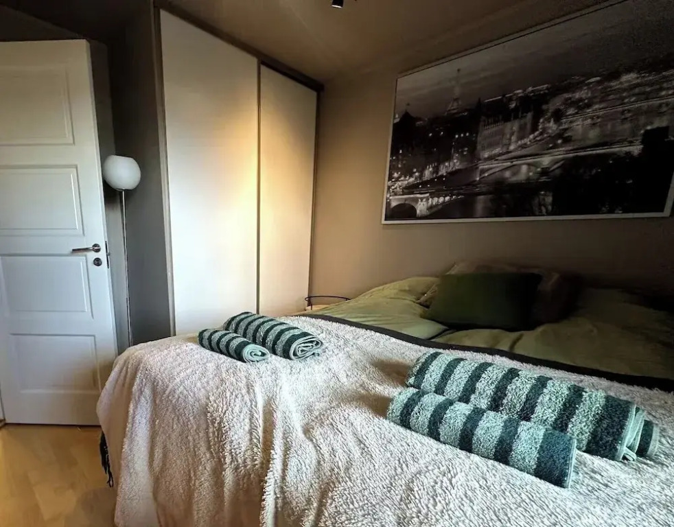 Aurora Borealis Apartment - Sleeps 3 - Parking