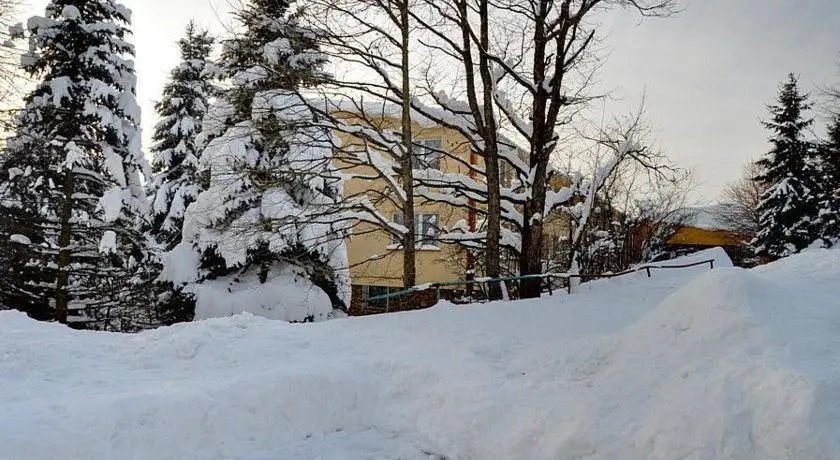 Storczyk