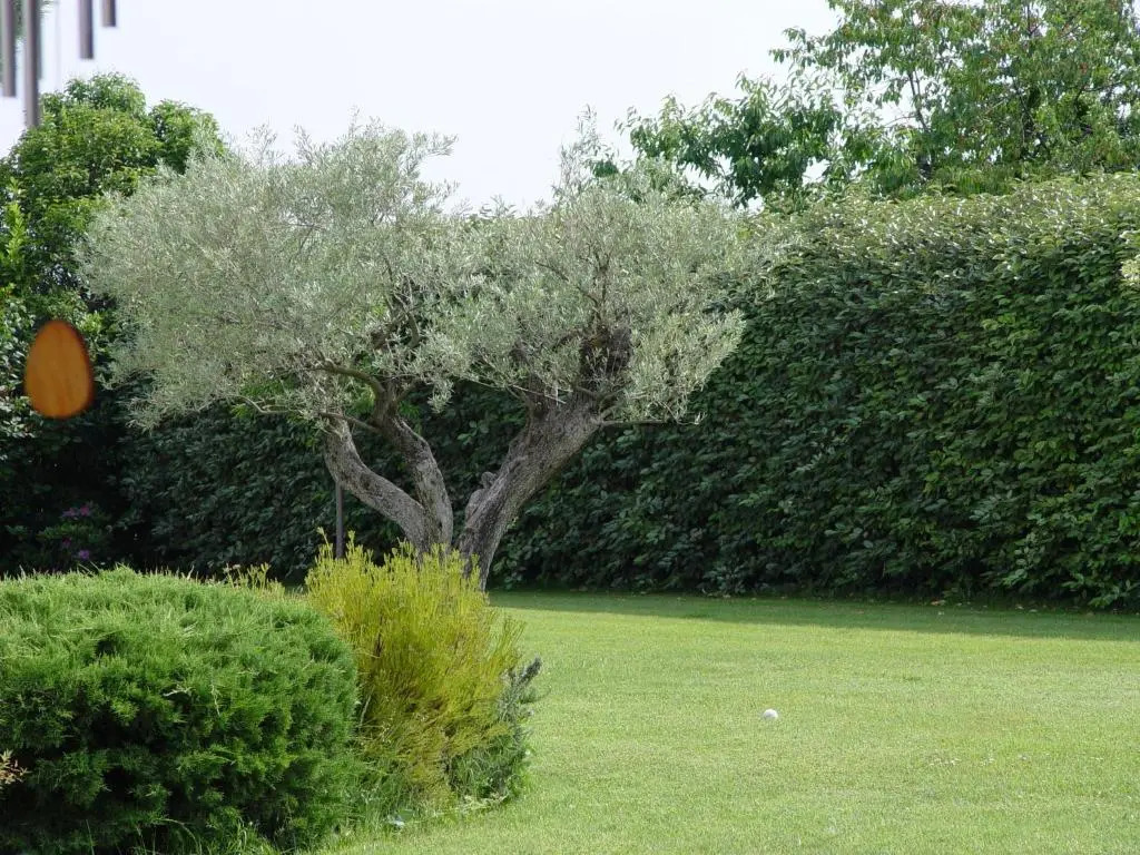 La Guéritaulde