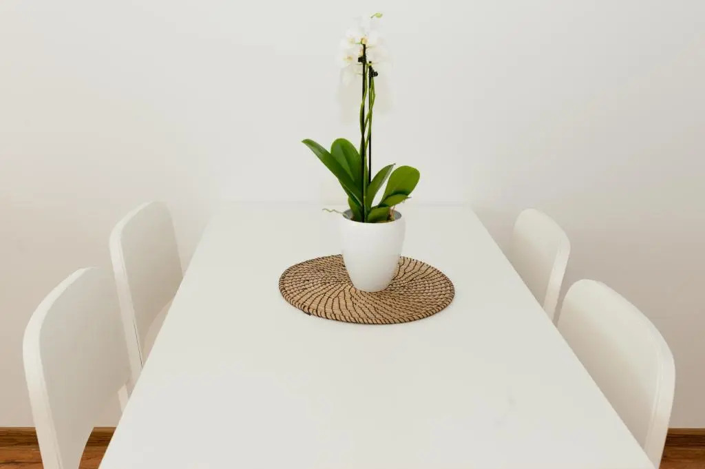 Villa Ľadoveň LUXUSNÝ APARTMÁN 124m2