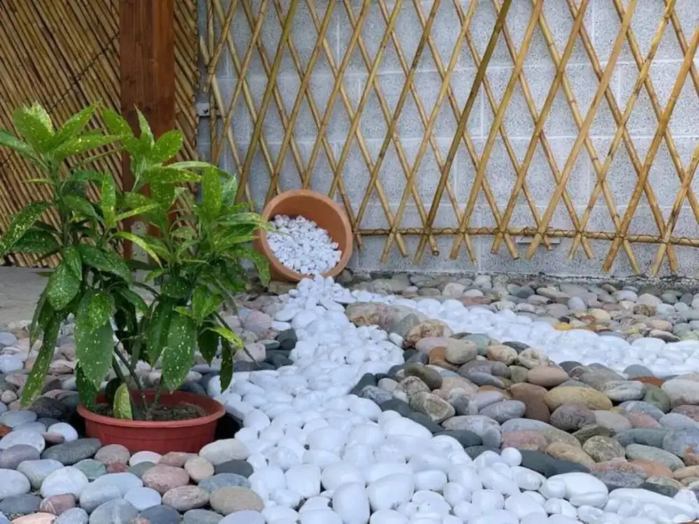 Entire unit near beach access to garden