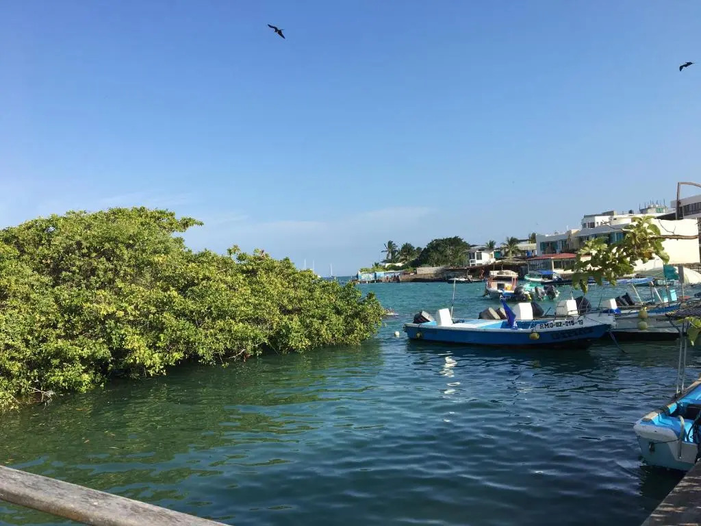 New Galapagos Hostelling