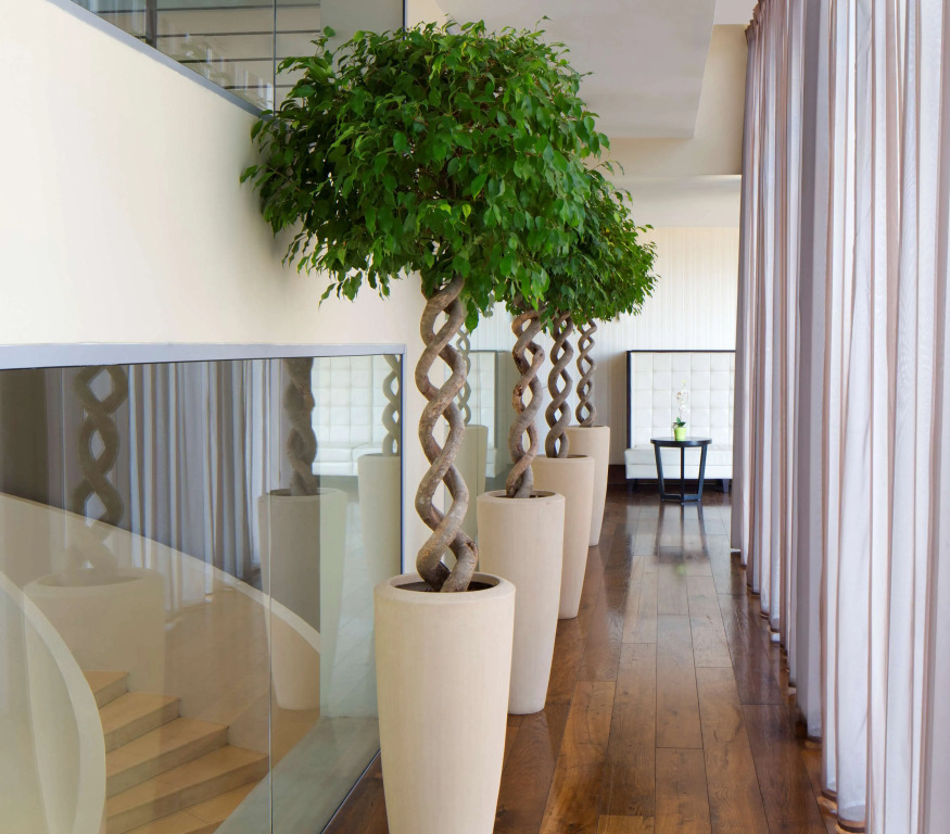 Radisson Blu Hotel, Addis Ababa