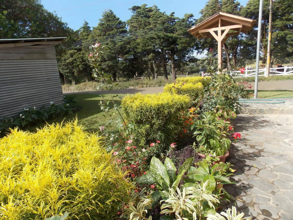 Hotel Las Orquideas