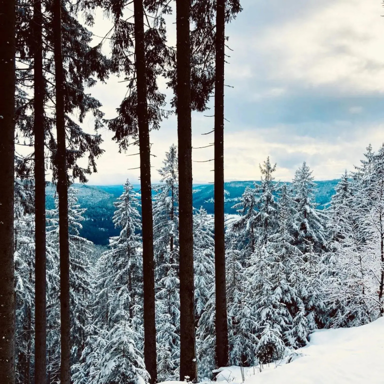 Appartement-Oberwiesenhof