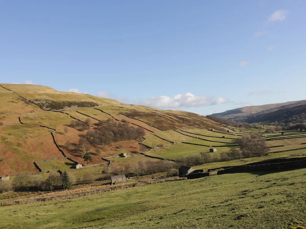 Meadow View