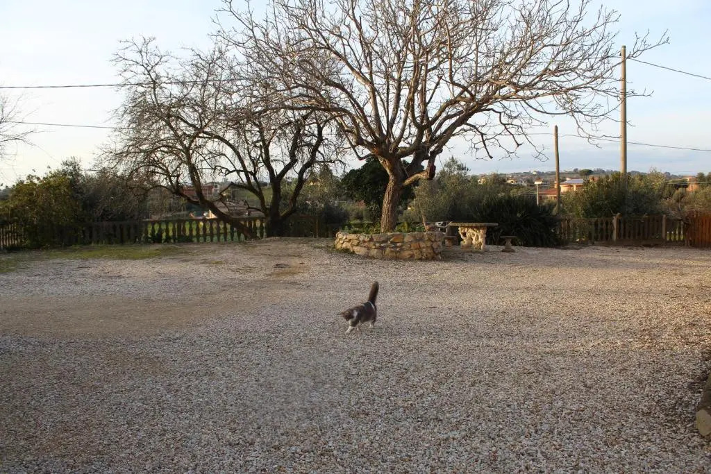 Le Casette in Collina