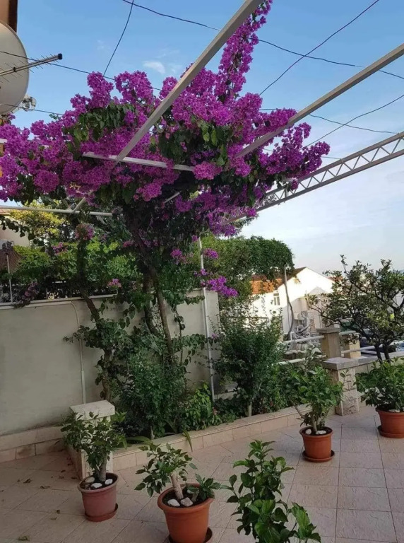 Apartman Nikolić 2