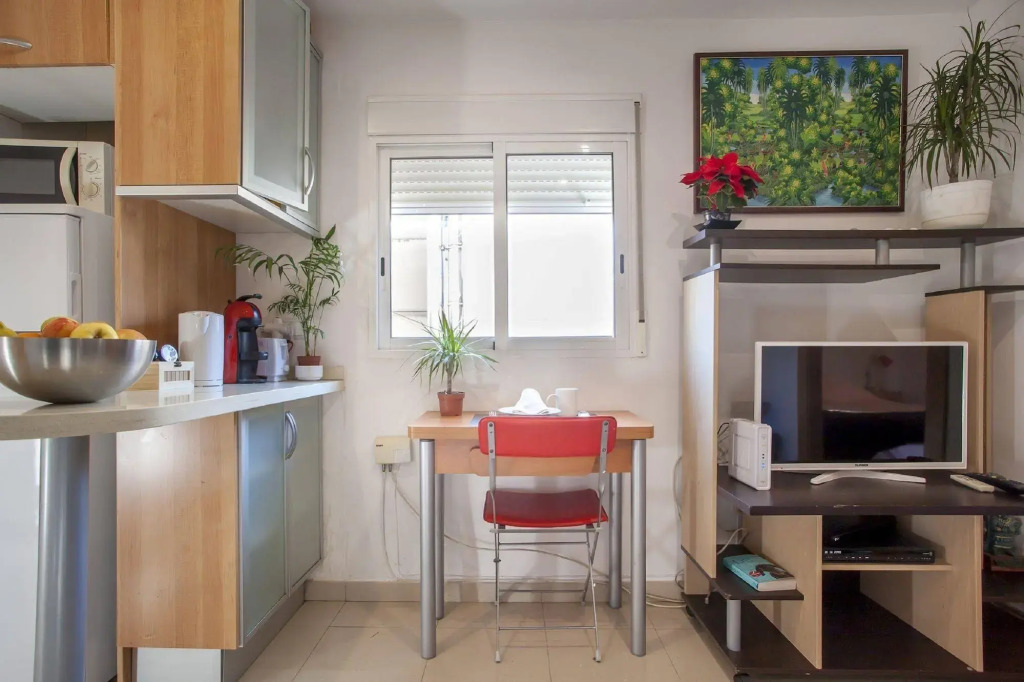 Atico de lujo plaza ayuntamiento pet friendly