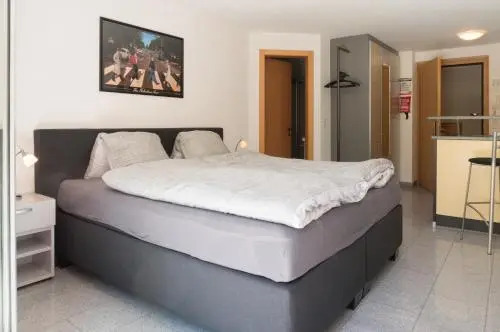 Haus Haro by Zermatt Premium Apartments