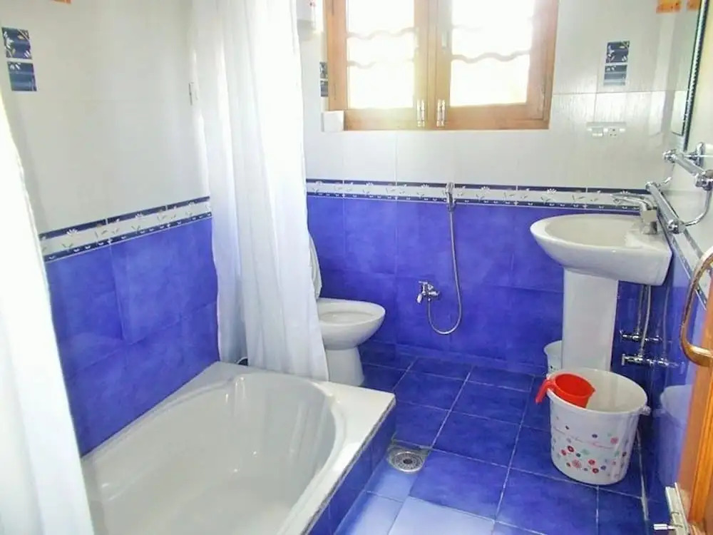 Hotel Ronak Resort