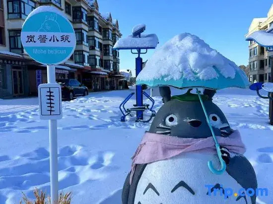 Arctic Village • Lan Xin Xiao Zhu