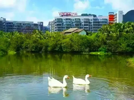 Yuesi Holiday Apartment (Hailv Duty Free City Branch)