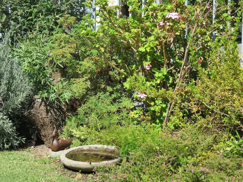 The Oval Bed and Breakfast