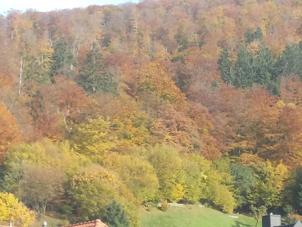 Landgasthof kleine Kommode