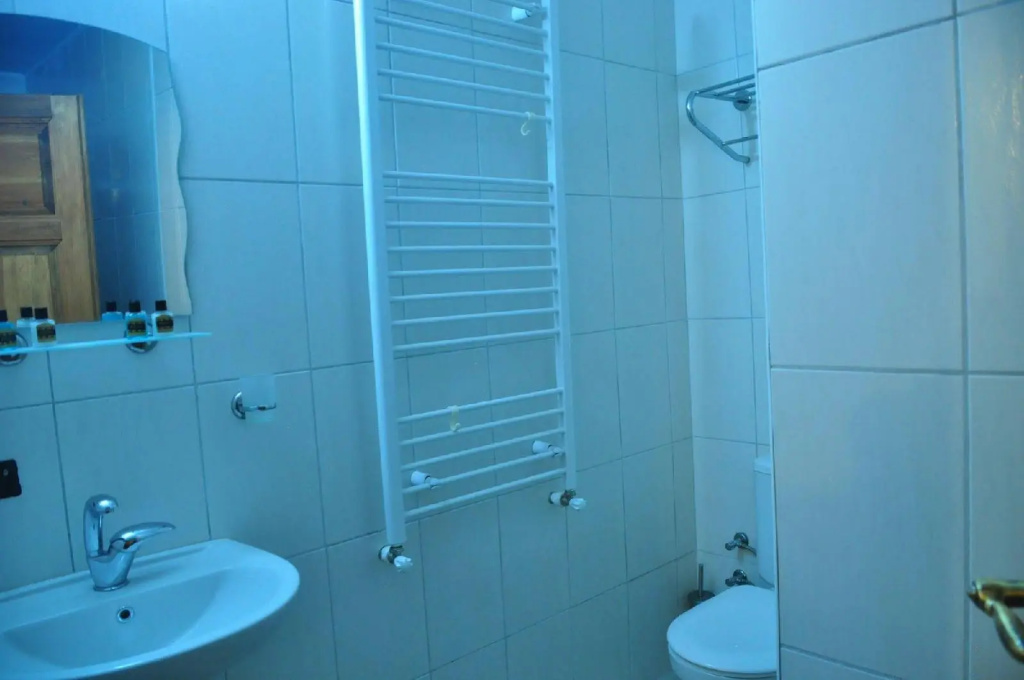 Bir Kedi Villa