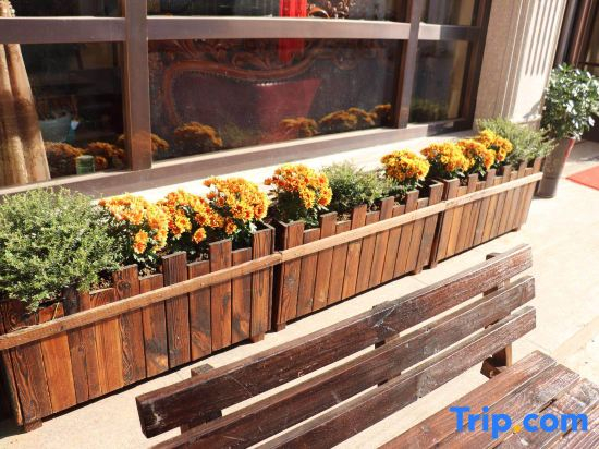 Yandang Mountain Yijingge Homestay