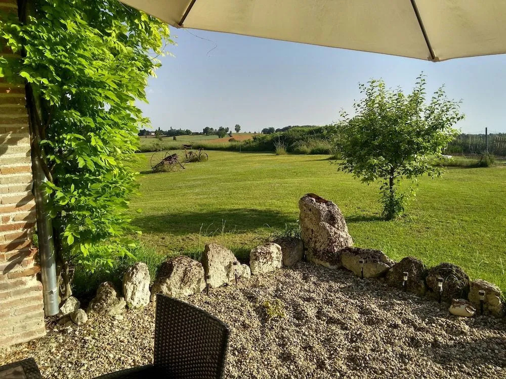 Le Domaine Du Chasselas