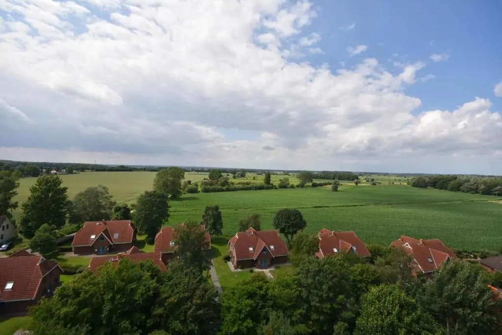 Berolina Wohnung 800