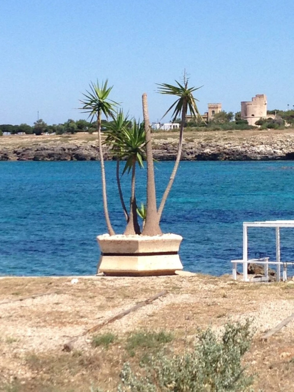 Le Bianche ville con patio privato a un passo dal mare