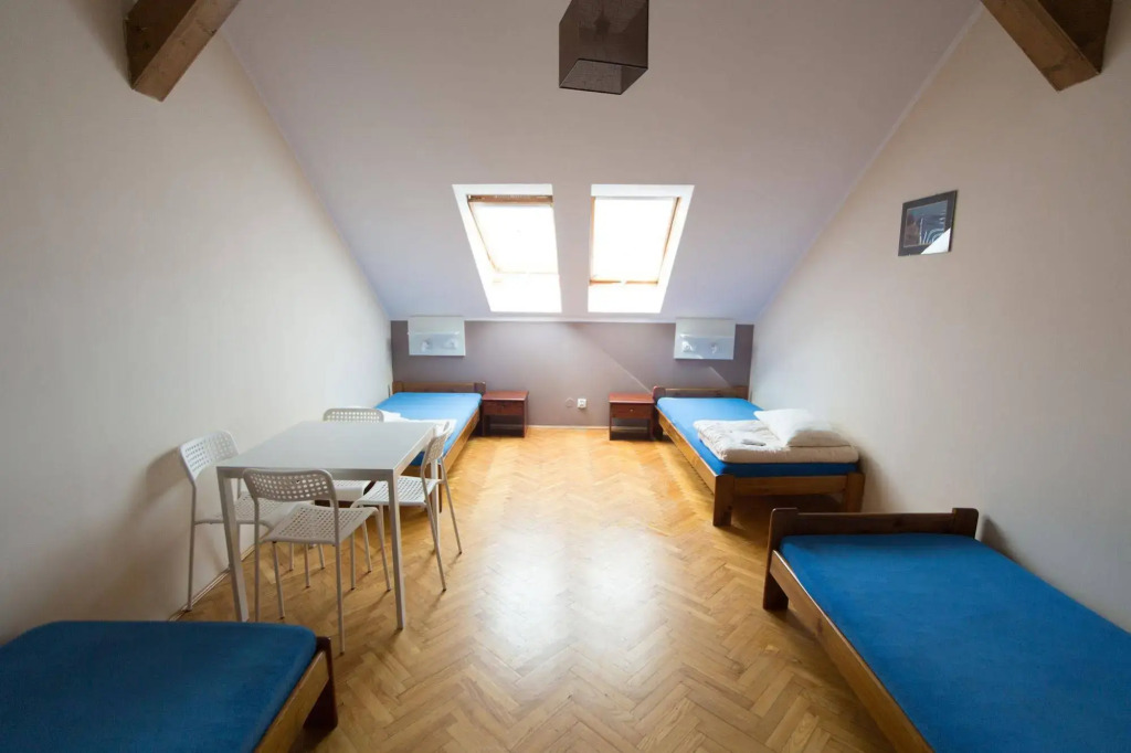 Dizzy Daisy Hostel