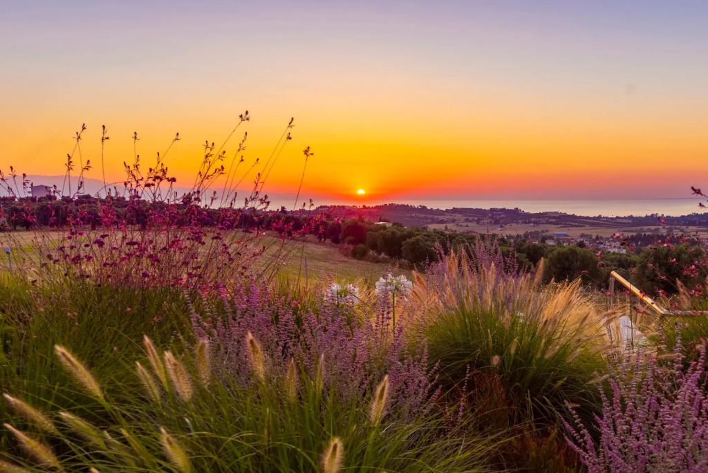 Mint Retreat Suites