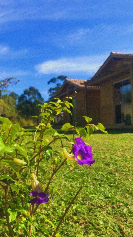 Chalé das Bromélias - Praia do Rosa-SC