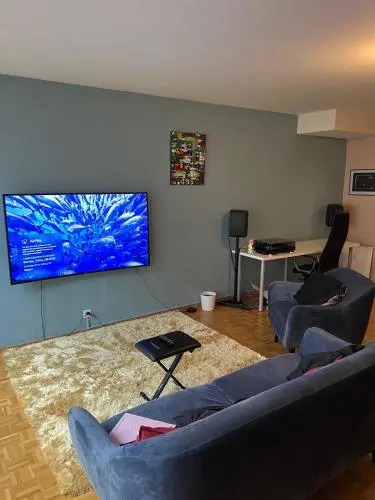 Beautiful Large Studio in center of Geneva Free Wifi