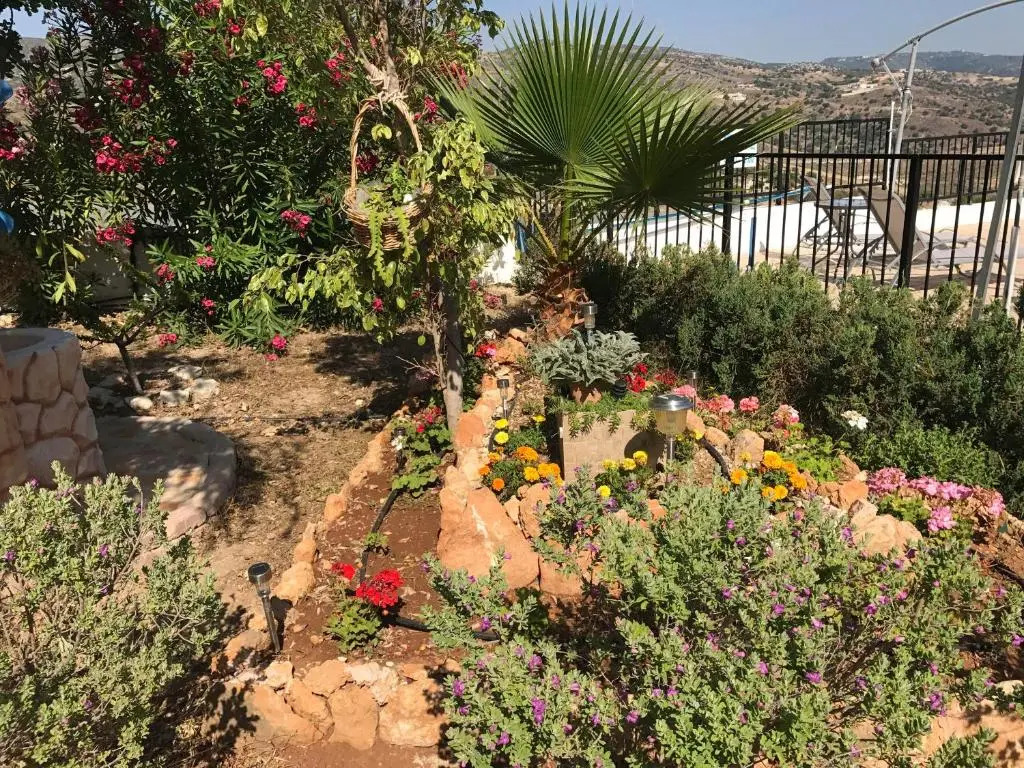Peyia Pearl Suites