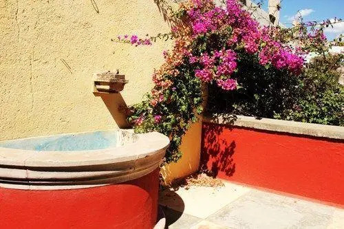 Hostal Galería Café