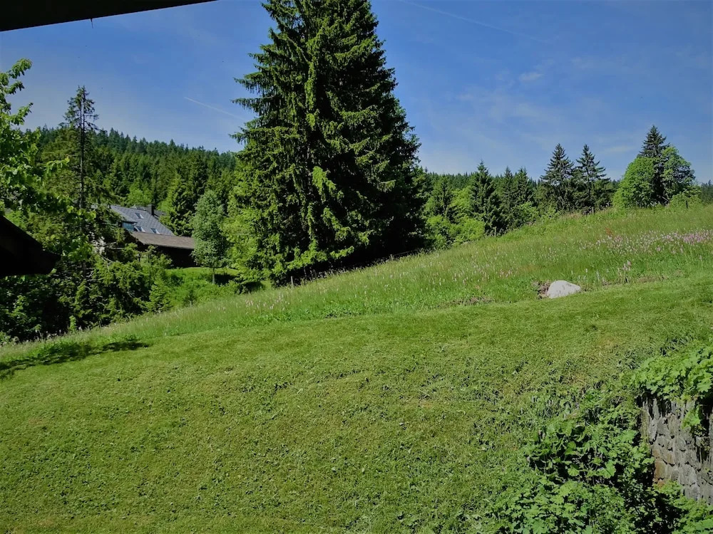 Schwarzwald-Hotel Kraeutle